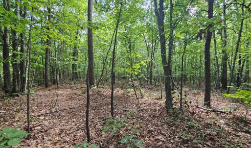 Photo #13 of James Anderson Highway, Gladstone, VA 100.0 acres
