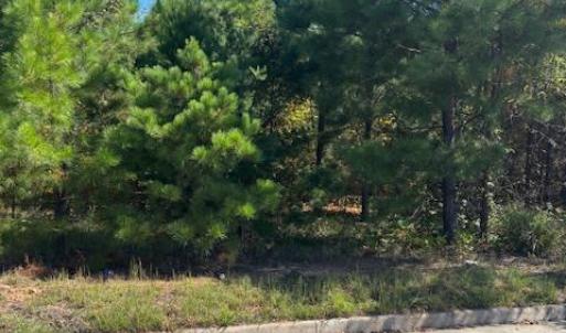 Photo #1 of Commonwealth Drive, Madison Heights, VA 2.5 acres