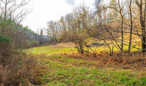 Photo #11 of Waughs Ferry Xing, Monroe, VA 77.3 acres