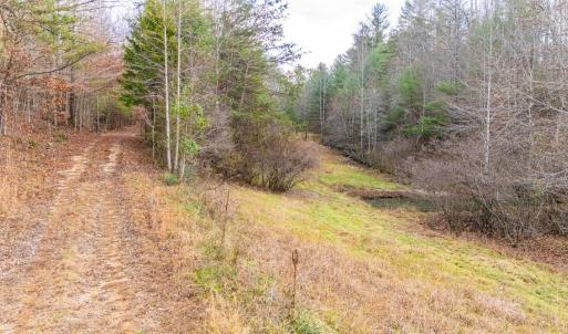 Photo #21 of Waughs Ferry Xing, Monroe, VA 77.3 acres
