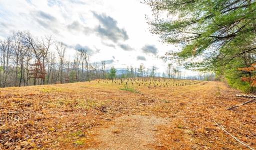 Photo #38 of Waughs Ferry Xing, Monroe, VA 77.3 acres