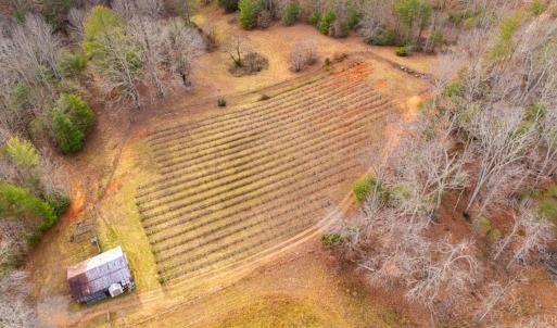 Photo #44 of Waughs Ferry Xing, Monroe, VA 77.3 acres