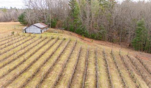Photo #2 of Waughs Ferry Xing, Monroe, VA 77.3 acres