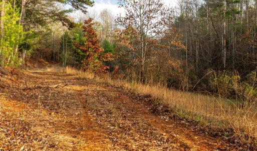 Photo #13 of Waughs Ferry Xing, Monroe, VA 77.3 acres
