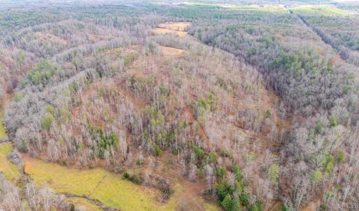 Photo #53 of Waughs Ferry Xing, Monroe, VA 77.3 acres