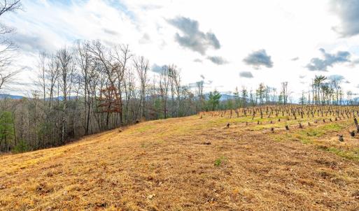 Photo #25 of Waughs Ferry Xing, Monroe, VA 77.3 acres