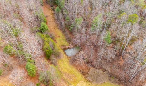 Photo #29 of Waughs Ferry Xing, Monroe, VA 77.3 acres
