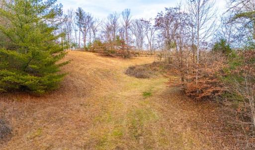 Photo #20 of Waughs Ferry Xing, Monroe, VA 77.3 acres