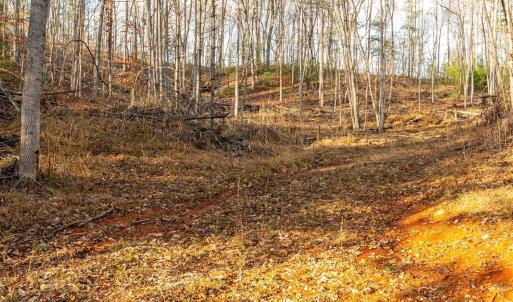 Photo #12 of Waughs Ferry Xing, Monroe, VA 77.3 acres
