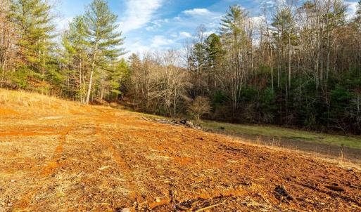 Photo #15 of Waughs Ferry Xing, Monroe, VA 77.3 acres