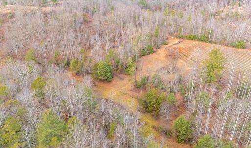 Photo #17 of Waughs Ferry Xing, Monroe, VA 77.3 acres