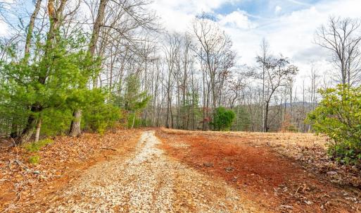 Photo #8 of Waughs Ferry Xing, Monroe, VA 77.3 acres