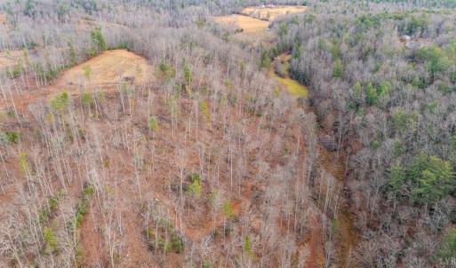 Photo #55 of Waughs Ferry Xing, Monroe, VA 77.3 acres