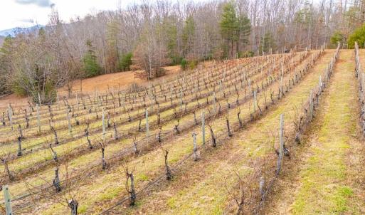 Photo #18 of Waughs Ferry Xing, Monroe, VA 77.3 acres