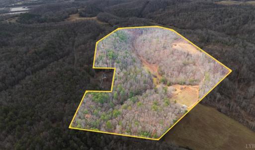 Photo #5 of Waughs Ferry Xing, Monroe, VA 77.3 acres