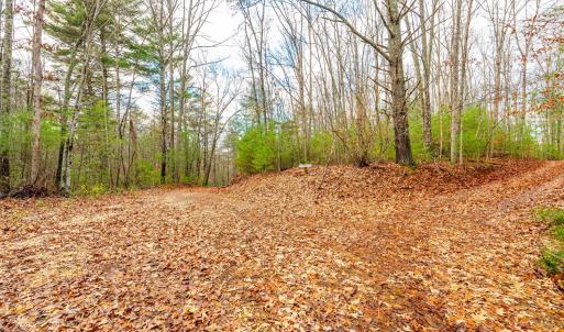 Photo #23 of Waughs Ferry Xing, Monroe, VA 77.3 acres