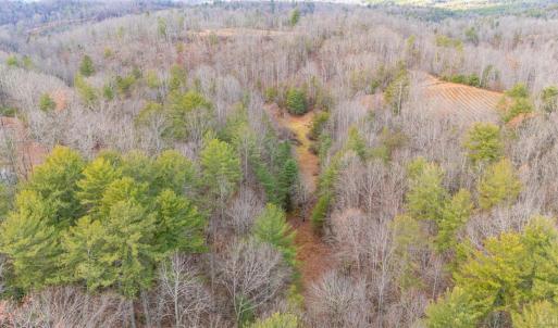Photo #16 of Waughs Ferry Xing, Monroe, VA 77.3 acres