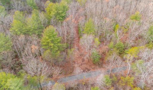 Photo #30 of Waughs Ferry Xing, Monroe, VA 77.3 acres