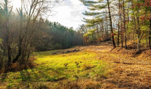 Photo #10 of Waughs Ferry Xing, Monroe, VA 77.3 acres