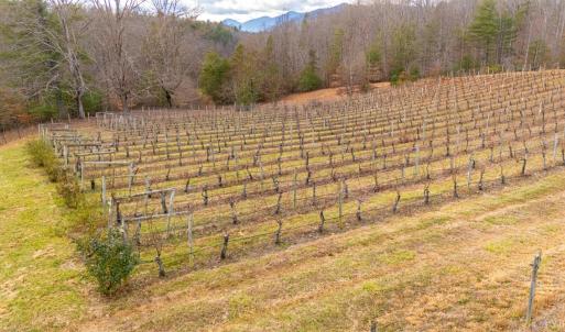 Photo #45 of Waughs Ferry Xing, Monroe, VA 77.3 acres