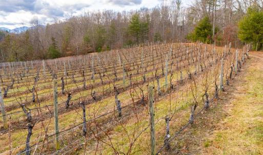 Photo #46 of Waughs Ferry Xing, Monroe, VA 77.3 acres