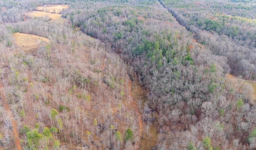 Photo #26 of Waughs Ferry Xing, Monroe, VA 77.3 acres