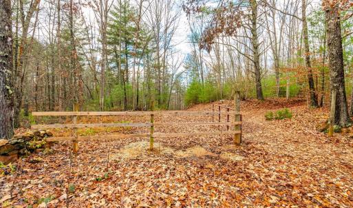 Photo #36 of Waughs Ferry Xing, Monroe, VA 77.3 acres
