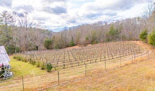 Photo #32 of Waughs Ferry Xing, Monroe, VA 77.3 acres