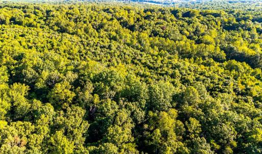Photo #19 of 134 Katies Dr., Madison Heights, VA 20.8 acres