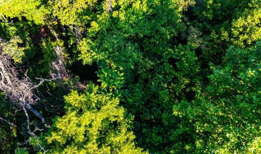 Photo #22 of 134 Katies Dr., Madison Heights, VA 20.8 acres