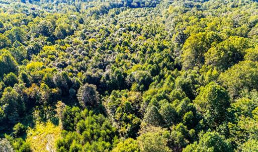 Photo #28 of 134 Katies Dr., Madison Heights, VA 20.8 acres