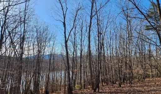 Photo #6 of Robin Ridge Court, Pittsville, VA 1.6 acres