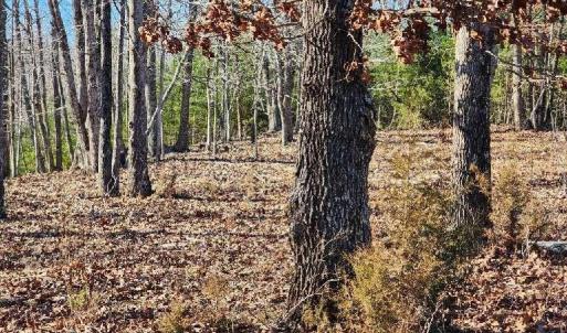 Photo #13 of Robin Ridge Court, Pittsville, VA 1.6 acres