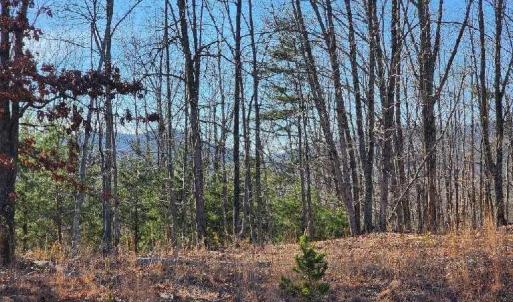 Photo #4 of Robin Ridge Court, Pittsville, VA 1.6 acres