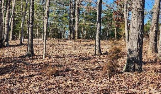 Photo #9 of Robin Ridge Court, Pittsville, VA 1.6 acres