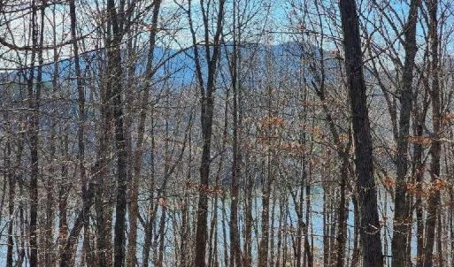 Photo #1 of Robin Ridge Court, Pittsville, VA 1.6 acres