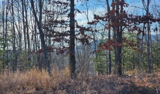 Photo #11 of Robin Ridge Court, Pittsville, VA 1.6 acres