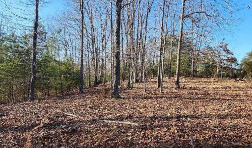 Photo #5 of Robin Ridge Court, Pittsville, VA 1.6 acres