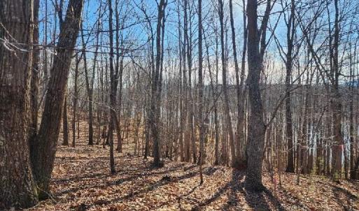 Photo #8 of Robin Ridge Court, Pittsville, VA 1.6 acres