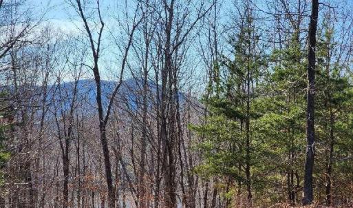 Photo #10 of Robin Ridge Court, Pittsville, VA 1.6 acres