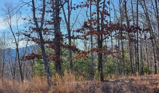 Photo #12 of Robin Ridge Court, Pittsville, VA 1.6 acres