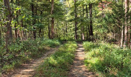 Photo #4 of Isle of Pines Drive, Moneta, VA 2.1 acres
