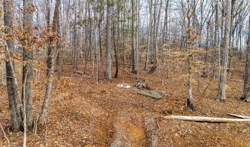 Photo #39 of 8 Cottage Charm, Goode, VA 8.7 acres