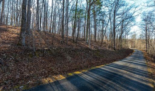 Photo #46 of 8 Cottage Charm, Goode, VA 8.7 acres