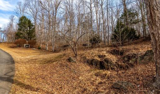 Photo #8 of 8 Cottage Charm, Goode, VA 8.7 acres