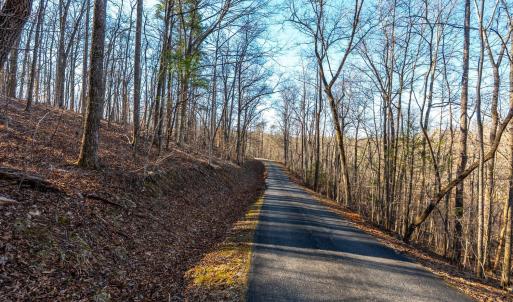 Photo #47 of 8 Cottage Charm, Goode, VA 8.7 acres