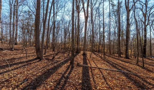 Photo #56 of 8 Cottage Charm, Goode, VA 8.7 acres