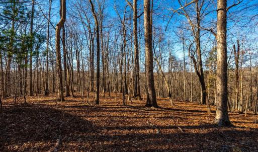 Photo #51 of 8 Cottage Charm, Goode, VA 8.7 acres