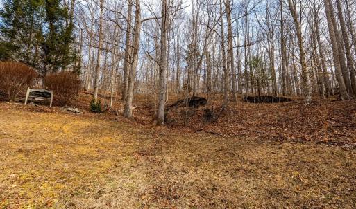 Photo #9 of 8 Cottage Charm, Goode, VA 8.7 acres