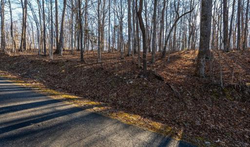 Photo #44 of 8 Cottage Charm, Goode, VA 8.7 acres